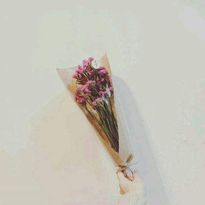 我们的奇迹手游