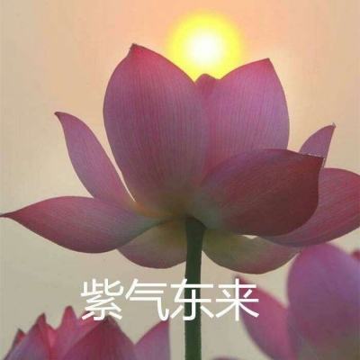 太古妖皇诀手游官方版下载